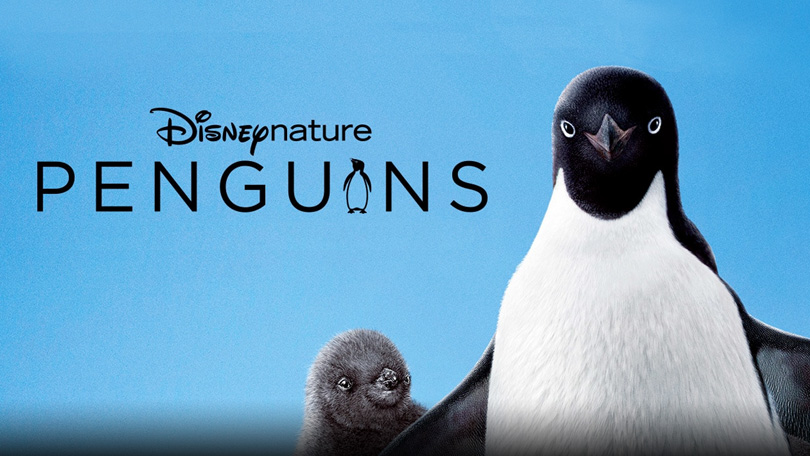 Penguins Disney Plus