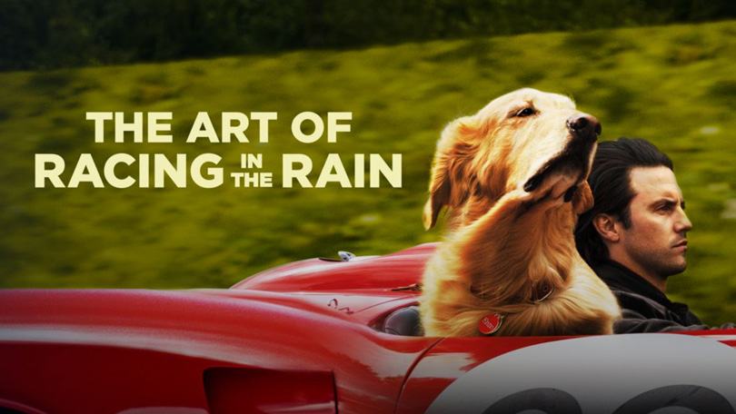 The Art of Racing in the Rain (2019) DisneyPlus aanbod