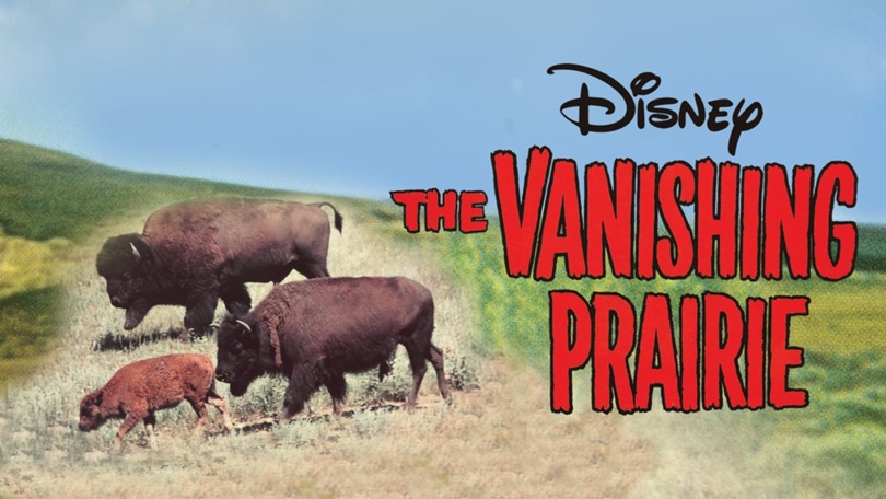 the vanishing prairie disney plus