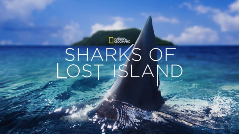 sharks of lost island disney plus